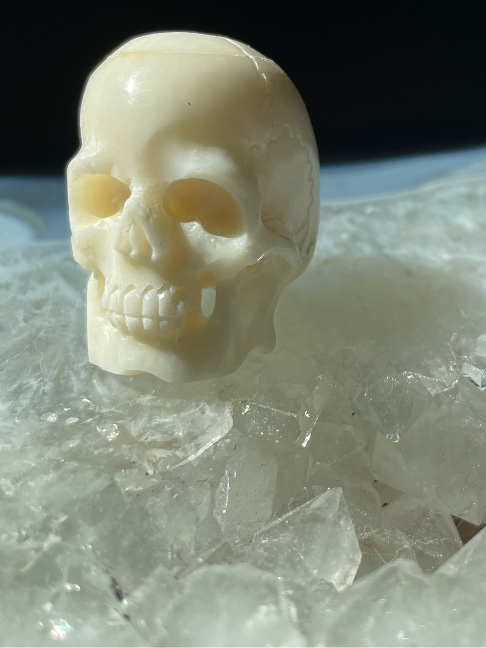 Carved Bone Skull Beads